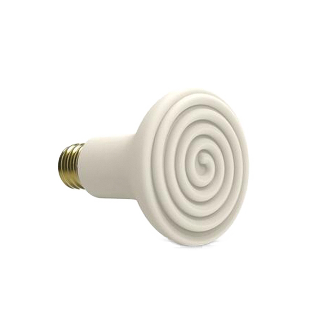 Bulbs